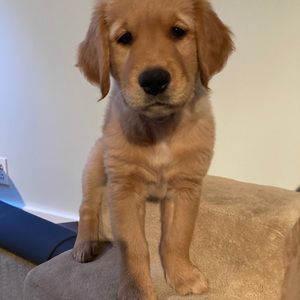 Meet your Posher, Jenna